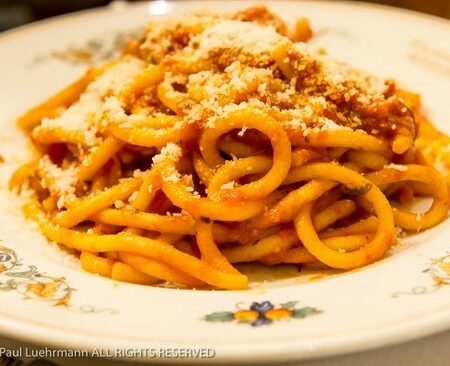 Linguini Florence (M)